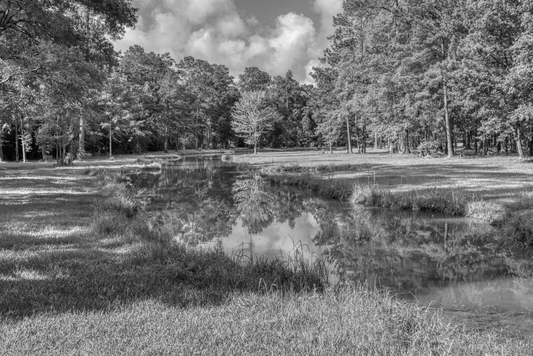 Landscape around Washington Parish in Louisiana 2000pc PuzzleBlack and White
