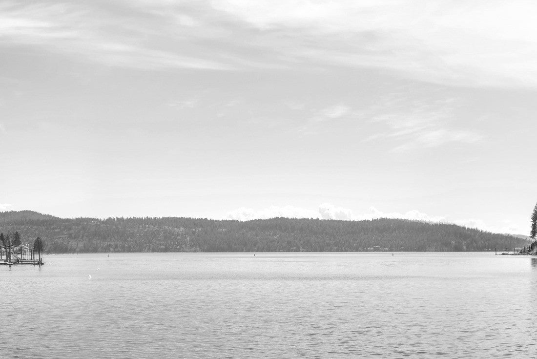Noah Jigsaw Puzzle A panoramic view of Lake Coeur d'Alene, Idaho, USA with waterfront homes, docks and marina at Rockford Bay in black white 2000 pieces