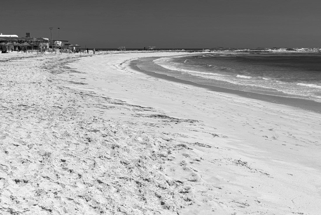Noah Jigsaw Puzzle Beautiful view of the lagoon, the coast, the white sandy beach and the blue sea. Djerba Island, Tunisia in black white 2000 pieces