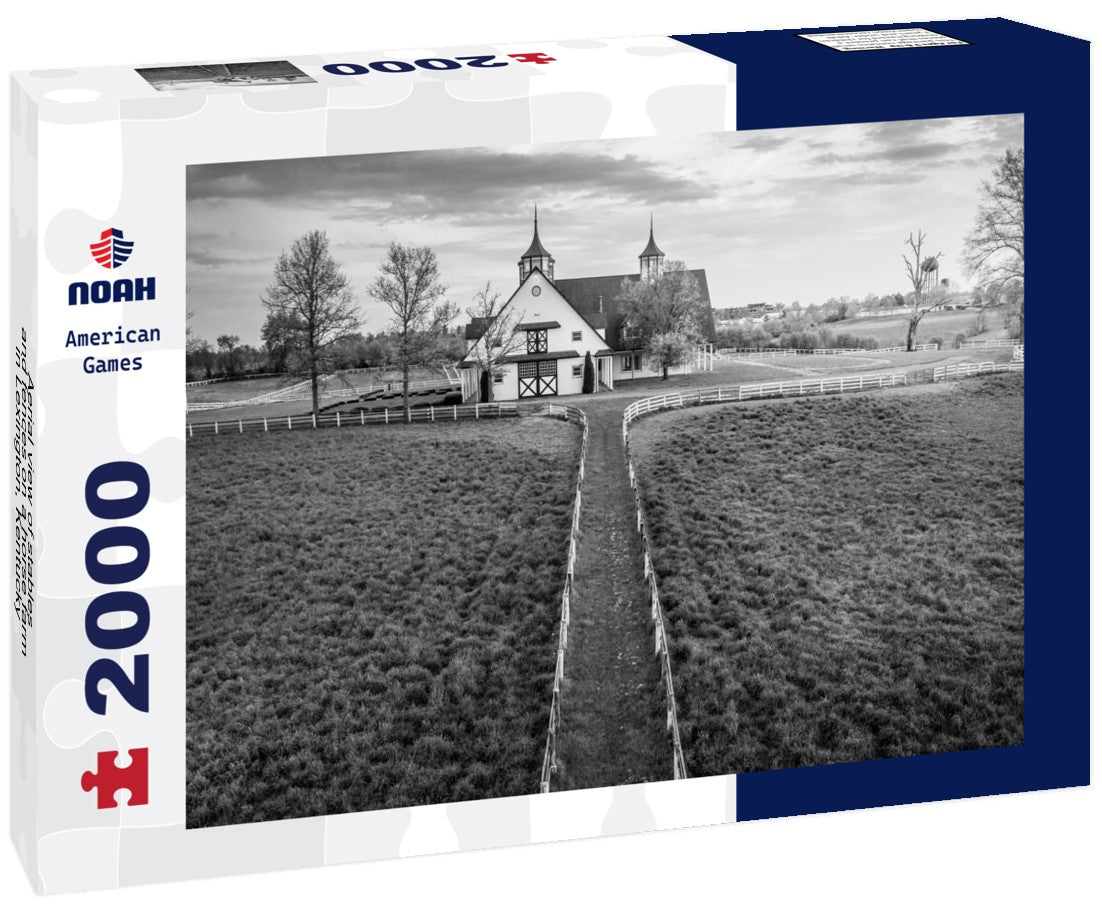Aerial view of stables and fences on a horse farm in Lexington, Kentucky 2000pc PuzzleBlack and White