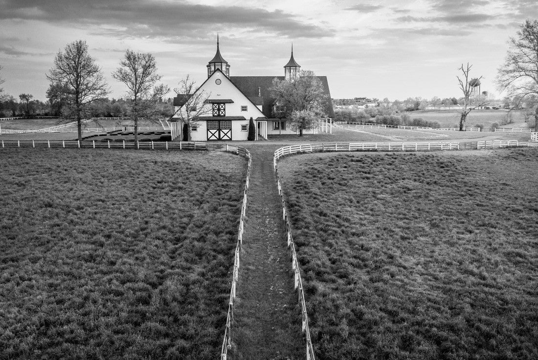 Aerial view of stables and fences on a horse farm in Lexington, Kentucky 2000pc PuzzleBlack and White