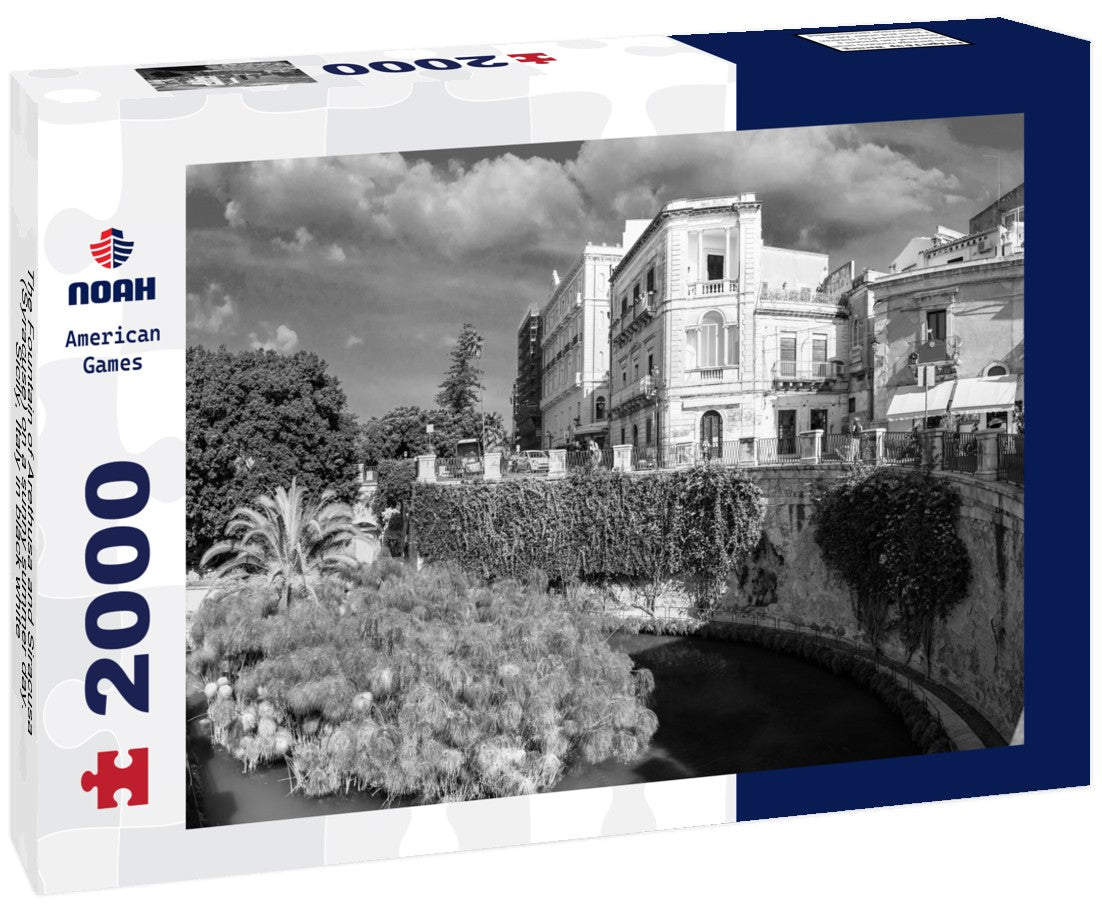 The Fountain of Arethusa and Siracusa (Syracuse) on a sunny summer day. Sicily, Italy 2000pc PuzzleBlack and White
