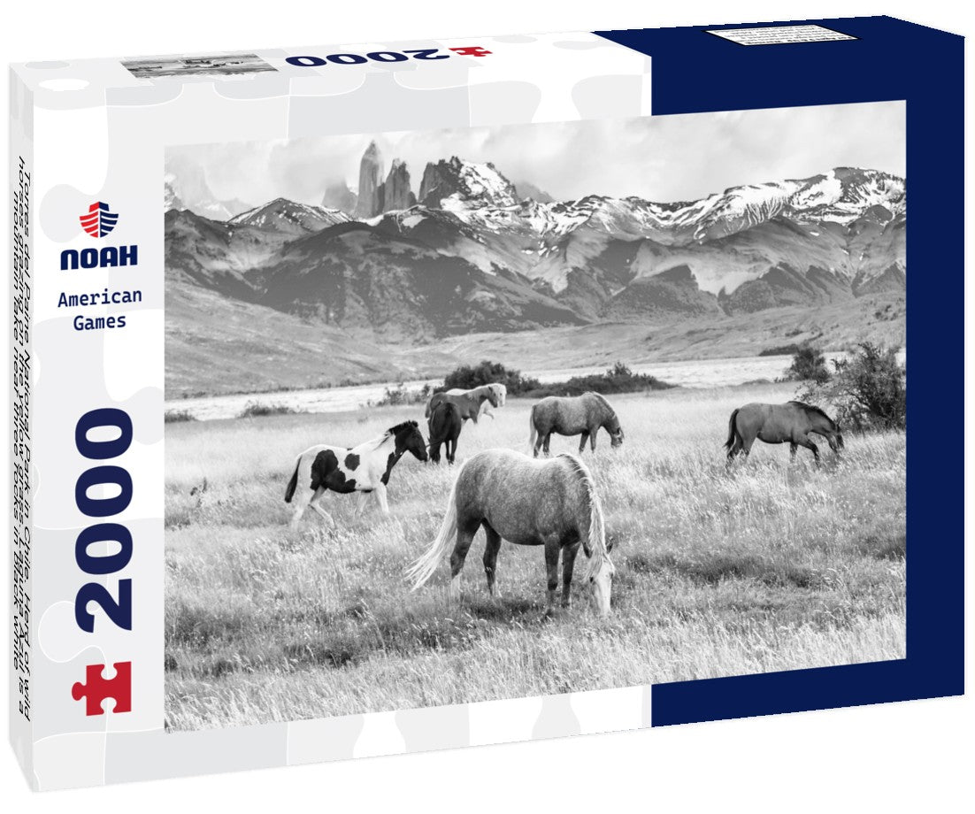 Torres del Paine National Park in Chile. Herd of wild horses grazing on the yellow grass. Laguna Azul is a mountain lake near three rocks 2000pc PuzzleBlack and White