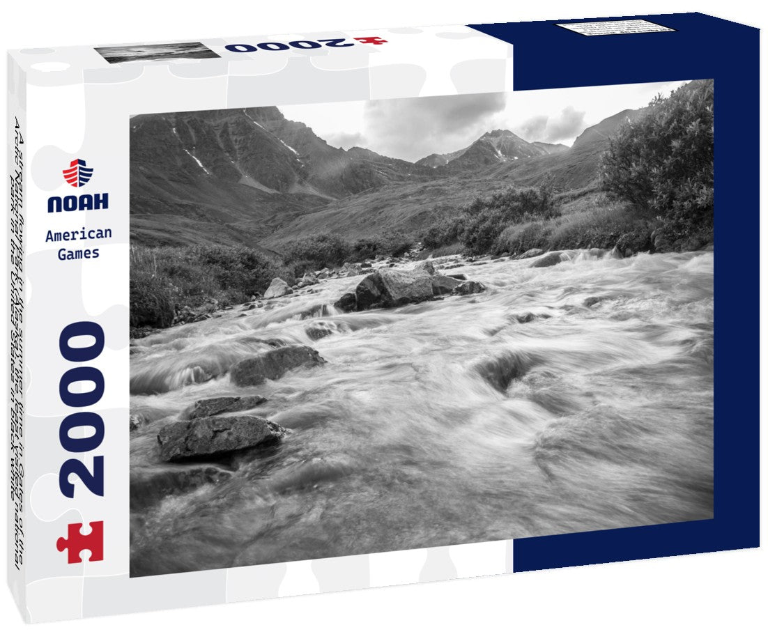 Noah Jigsaw Puzzle A stream flowing in the summer time in Gates of the Arctic National Park (Alaska), the least visited national park in the United States in black white 2000 pieces
