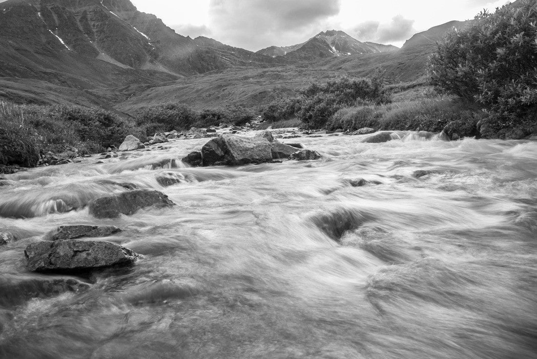 Noah Jigsaw Puzzle A stream flowing in the summer time in Gates of the Arctic National Park (Alaska), the least visited national park in the United States in black white 2000 pieces