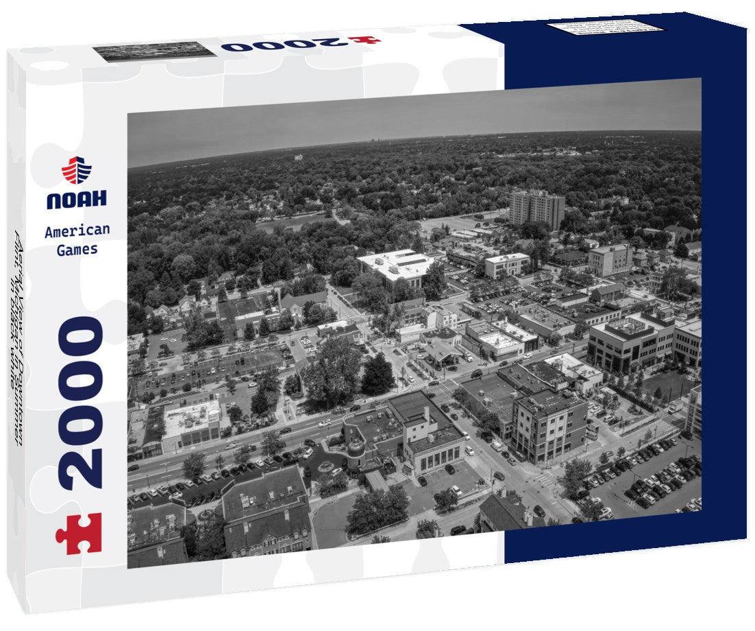 Aerial View of Downtown Flint, Michigan in Summer 2000pc PuzzleBlack and White
