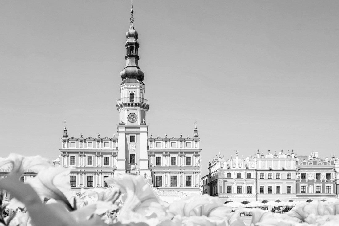 Noah Jigsaw Puzzle Historical Town Hall Square in Zamosc City, Poland, on the UNESCO list in black white 2000 pieces