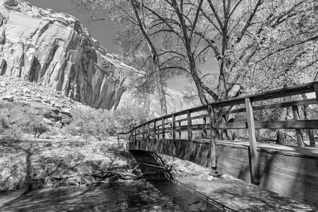 A wooden footbridge crosses shady Sulphur Creek in a picnic area in Capitol Reef National Park, Utah 2000pc PuzzleBlack and White