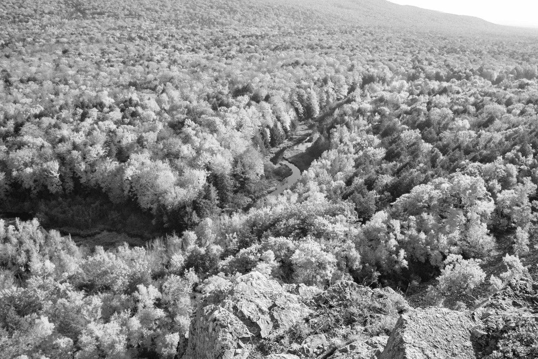 Hill and valley in Michigan with trees in brilliant fall color over a small river 2000pc PuzzleBlack and White