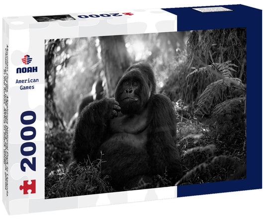 Noah Jigsaw Puzzle Mountain Gorilla, Mgahinga National Park in Uganda. Close-up of the wild, large black silverback gorilla in the forest, Africa in black white 2000 pieces