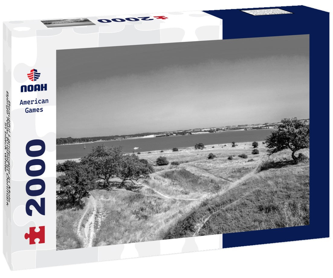 Noah Jigsaw Puzzle Beautiful Landscape in Mols Bjerge Near Knebel in Denmark in black white 2000 pieces