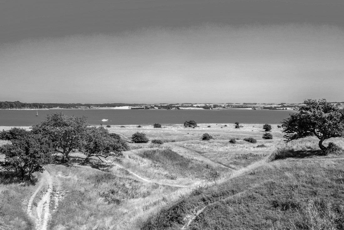 Noah Jigsaw Puzzle Beautiful Landscape in Mols Bjerge Near Knebel in Denmark in black white 2000 pieces