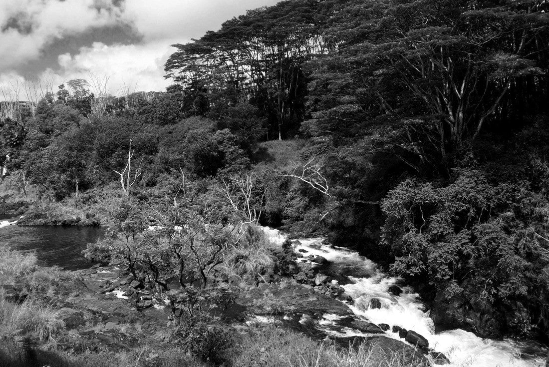 The picturesque Wailuku River, located near Hilo, Hawaii 2000pc PuzzleBlack and White