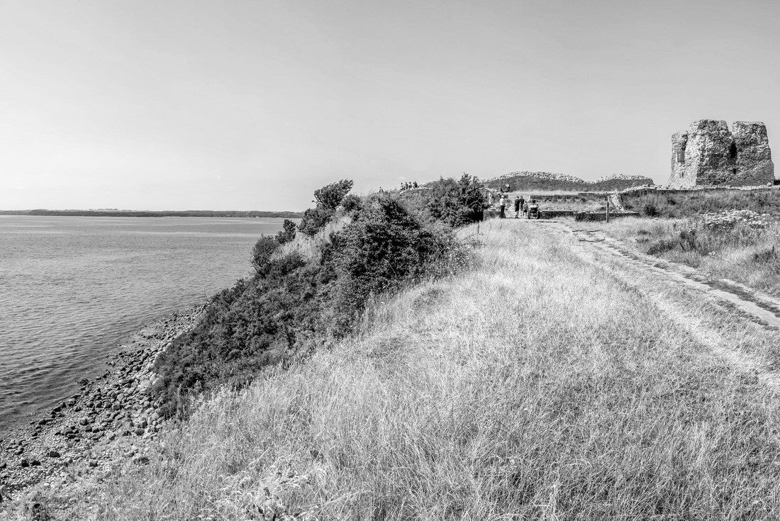 Castle ruin Ronde Mols Bjerge Knebel Denmark 2000pc PuzzleBlack and White