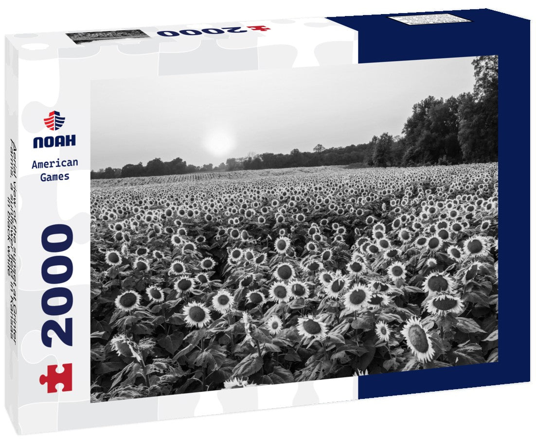 Aerial view of the sunset at Grinter Farms, a sunflower field in Kansas 2000pc PuzzleBlack and White