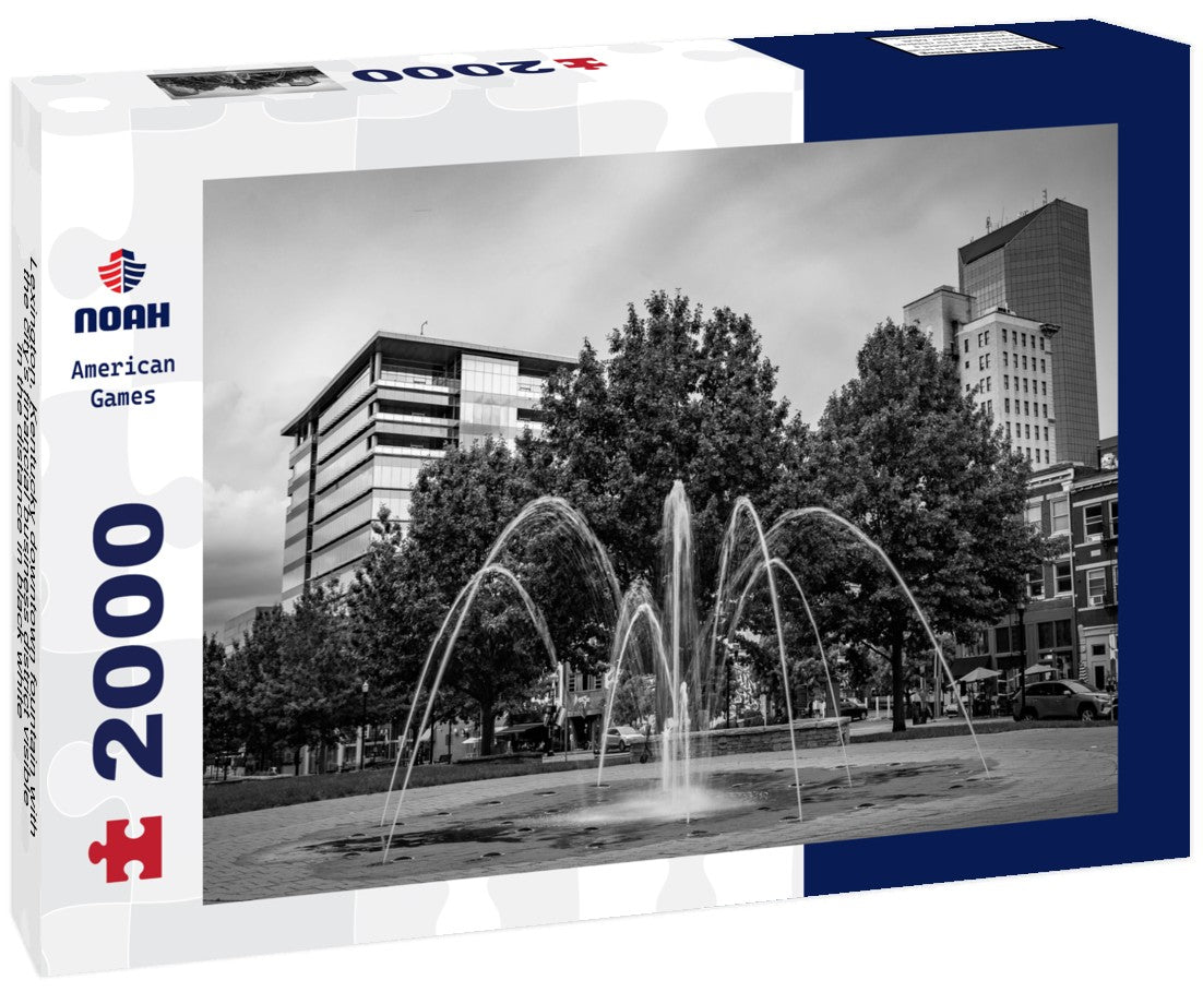 Lexington, Kentucky downtown fountain with the city's financial business district visible in the distance 2000pc PuzzleBlack and White