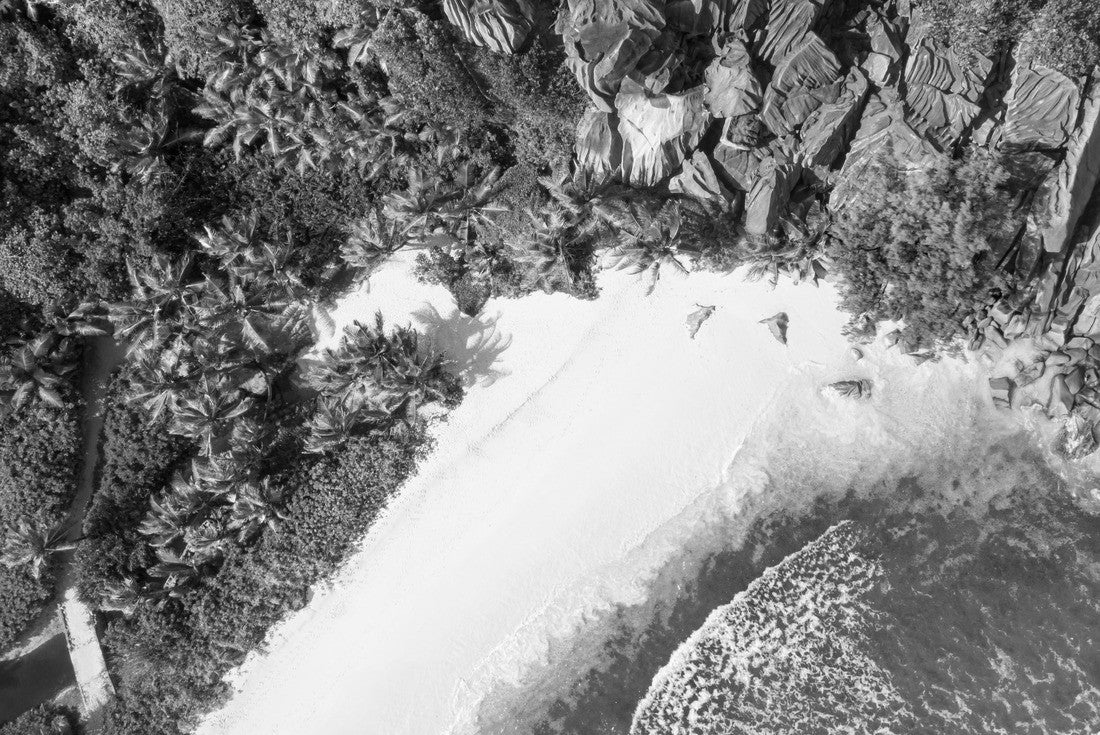 Grand Anse - one of the most beautiful beach of Seychelles. La Digue Island, Seychelles 2000pc PuzzleBlack and White