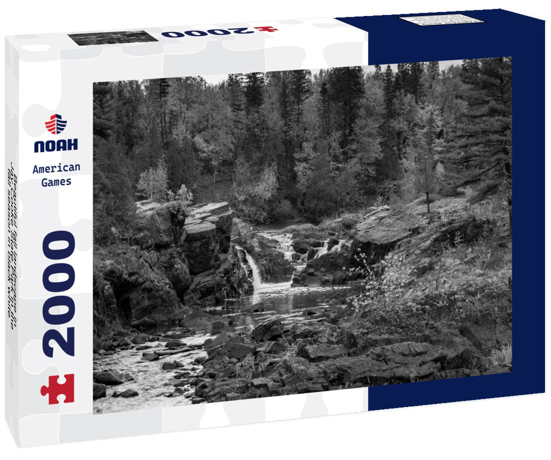 Noah Jigsaw Puzzle Beautiful fall landscape in Jay Cooke State Park in the fall season in black white 2000 pieces