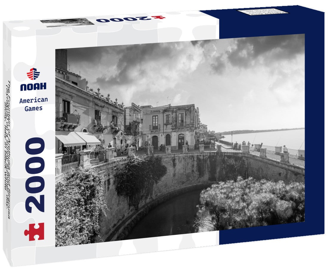 The Fountain of Arethusa and Siracusa (Syrakus) on a sunny summer day. Sicily, Italy 2000pc PuzzleBlack and White