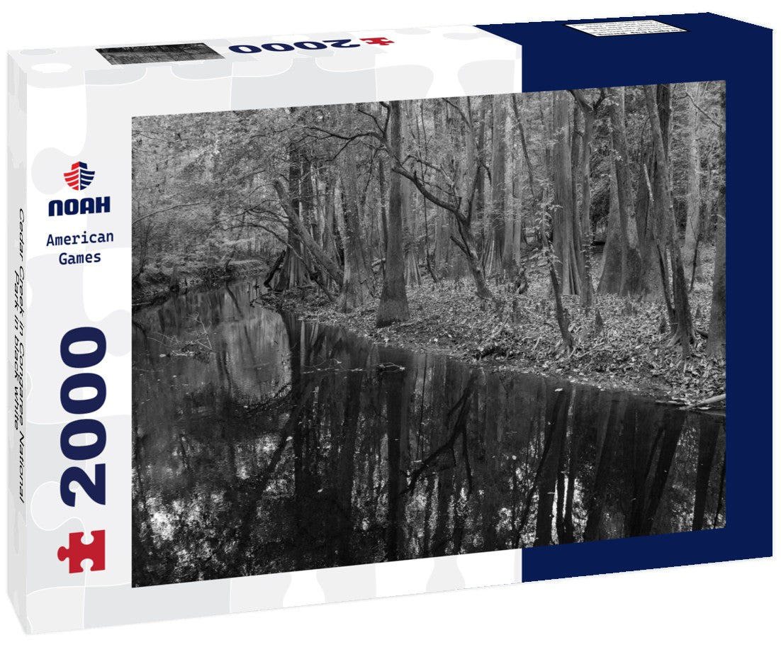 Noah Jigsaw Puzzle Cedar Creek in Congaree National Park in black white 2000 pieces