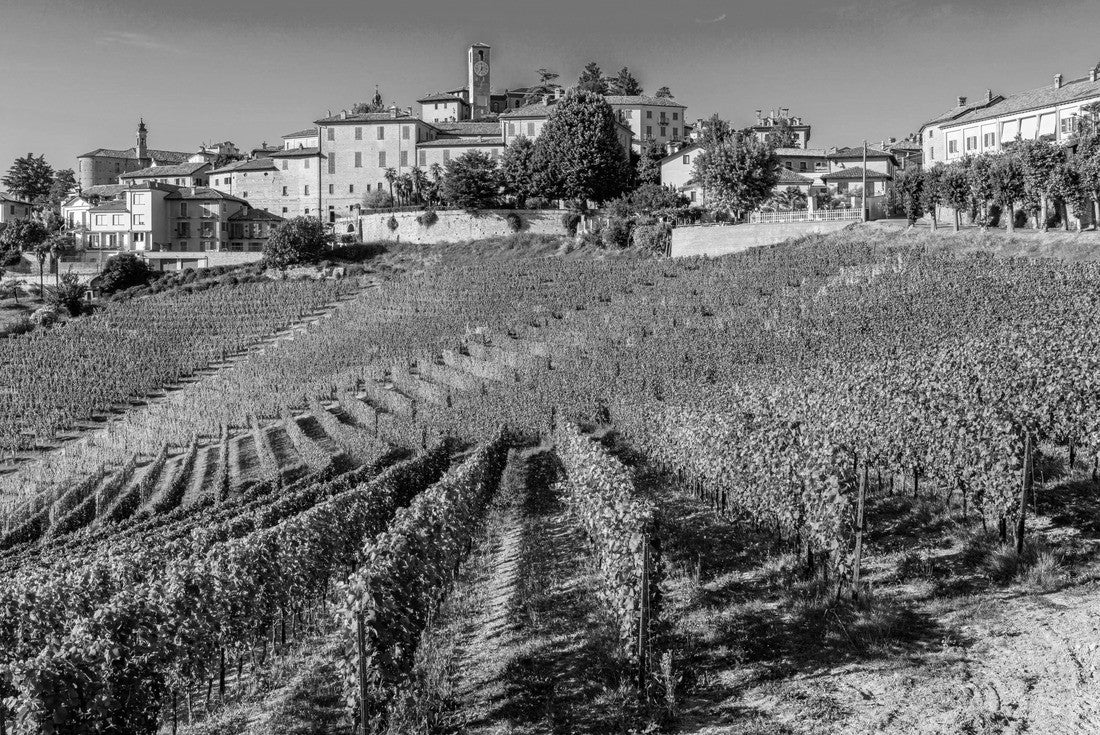 The beautiful village of Neive and its vineyards in the Langhe region of Piedmont, Italy 2000pc PuzzleBlack and White
