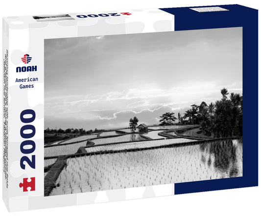 Noah Jigsaw Puzzle Stunning landscape with sone terraced rice fields and a farmer hut's during a beautiful sunrise. Jatiluwih rice terrace, Tabanan Regency, North Bali, Indonesia in black white 2000 pieces