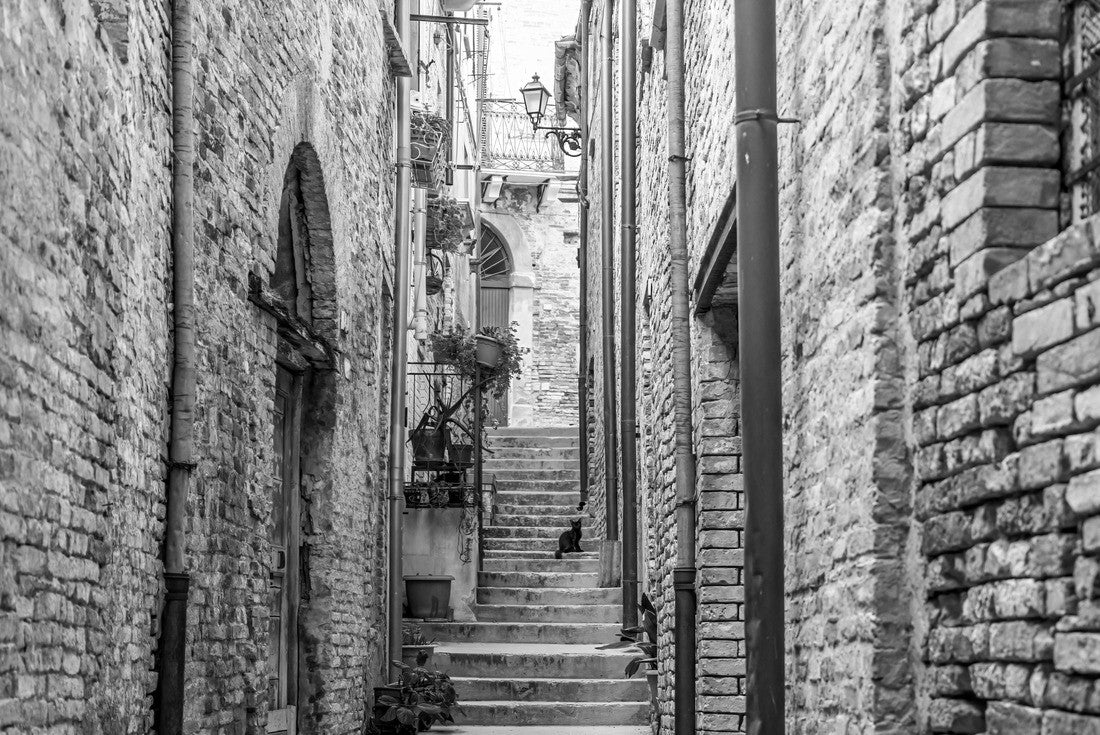 Streets and alleys in the old town of Citta Sant Angelo, province of Pescara, Abruzzo, Italy, one of the “Borghi piu belli d'Italia” (Most beautiful villages in Italy) 2000pc PuzzleBlack and White