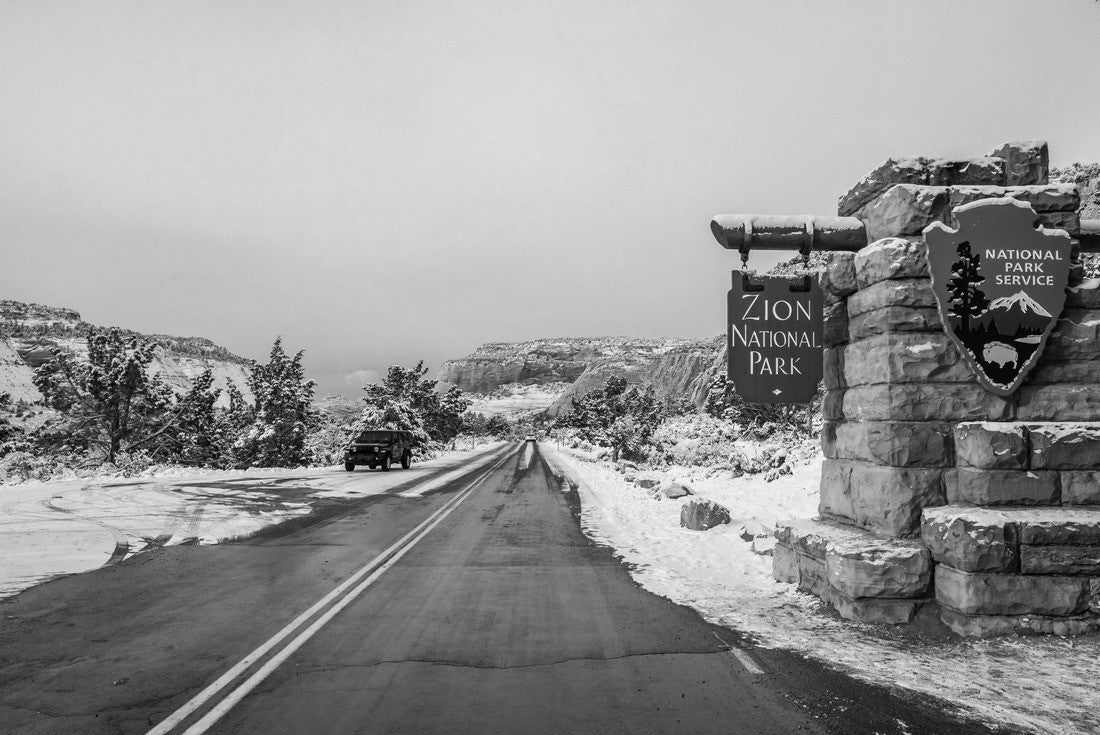 Noah Jigsaw Puzzle Winter in Zion National Park, United States Of America in black white 2000 pieces