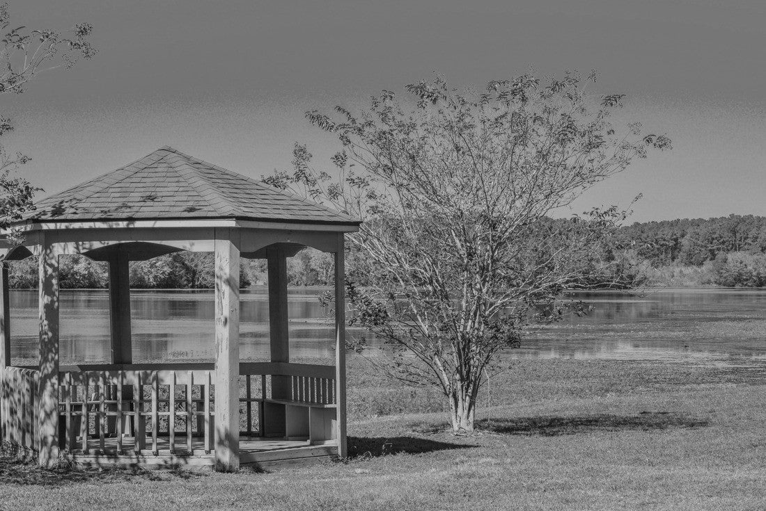 Noah Jigsaw Puzzle A gazebo near Reed Bingham Lake in Reed Bingham State Park, Adel, Colquitt County, Georgia in black white 2000 pieces