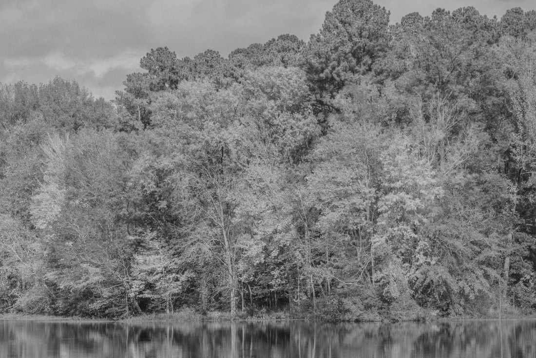 Beautiful Lake Hamburger in Hamburg State Park, Mitchell, Washington County, Georgia 2000pc PuzzleBlack and White