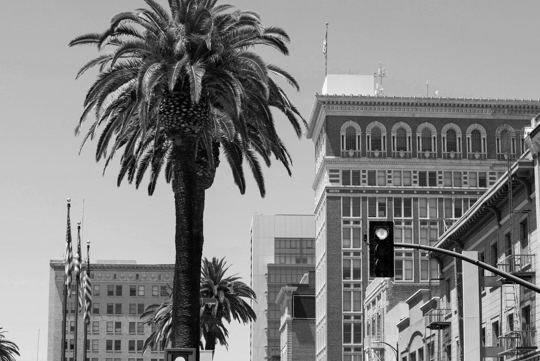 Daytime view of the downtown city center of Stockton, California, USA 2000pc PuzzleBlack and White