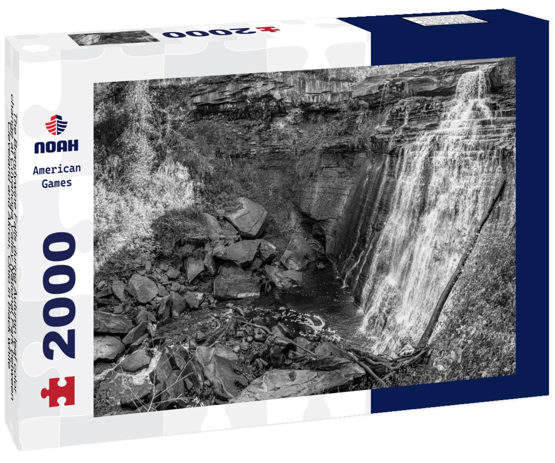The Brandywine Falls during Autumn leaf color change at Cuyahoga Valley National Park between Cleveland and Akron, Ohio 2000pc PuzzleBlack and White