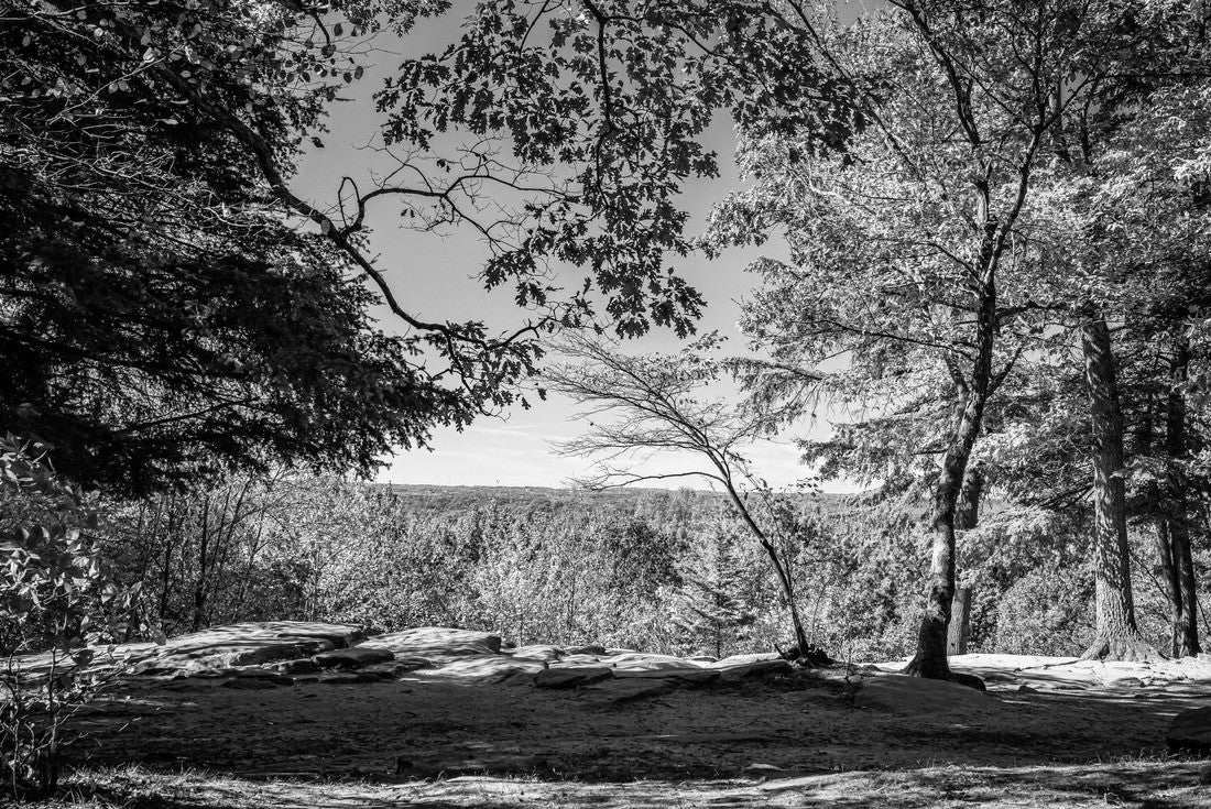 The Ledges Trail during Autumn leaf color change at Cuyahoga Valley National Park between Cleveland and Akron, Ohio 2000pc PuzzleBlack and White