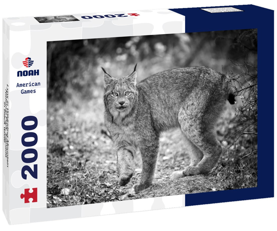 Lynx in Wildriding Mountain National Park, Canada 2000pc PuzzleBlack and White