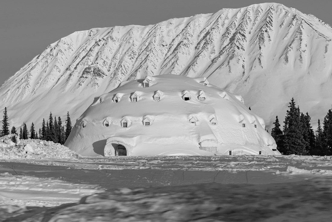 Noah Jigsaw Puzzle Afternoon landscape in Denali National Park and Preserve near Fairbanks, Alaska in black white 2000 pieces