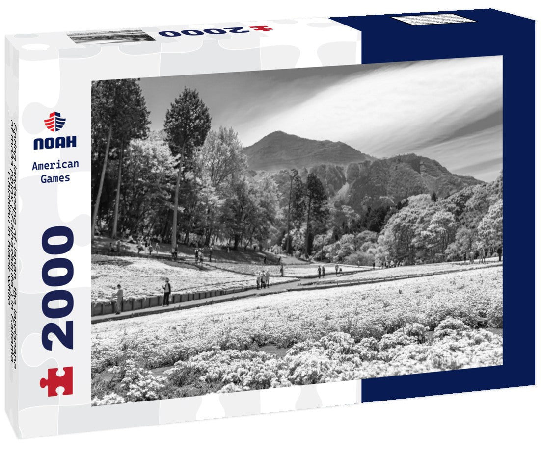 Spring landscape of Japan, the landscape of moss phlox (“Shibazakura”) in Saitama Chichibu 2000pc PuzzleBlack and White