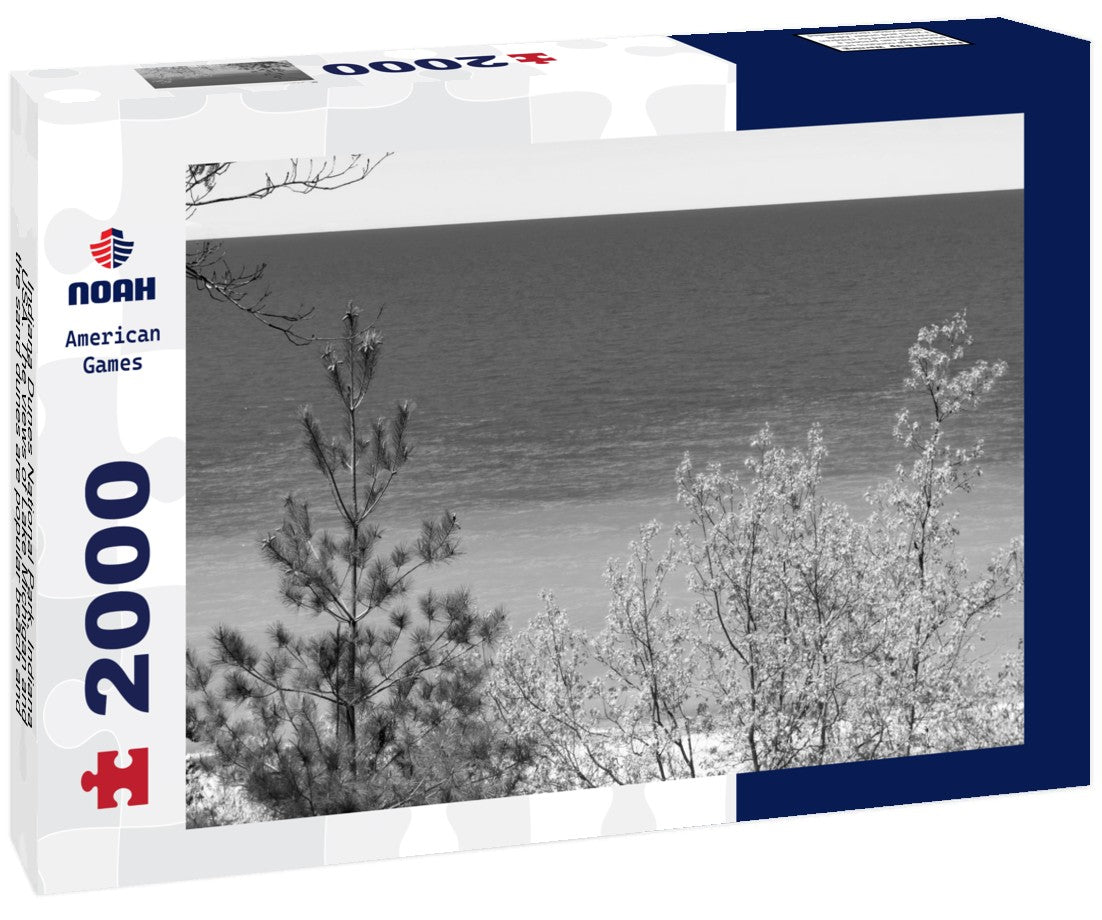 Noah Jigsaw Puzzle Indiana Dunes National Park, Indiana, USA. The views of Lake Michigan and the sand dunes are popular beach and hiking attractions in black white 2000 pieces
