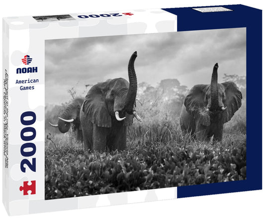 Noah Jigsaw Puzzle Elephant in the rain, Victoria Nile Delta. Elephant in Murchison Falls NP, Uganda in black white 2000 pieces