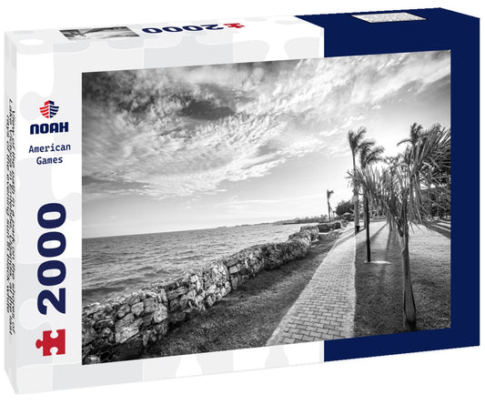 Noah Jigsaw Puzzle View of the path in a park on the shores of Lake Victoria in Entebbe, Uganda, at the last rays of the evening sun in black white 2000 pieces