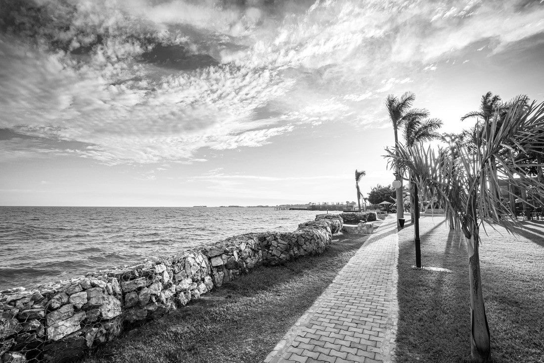 Noah Jigsaw Puzzle View of the path in a park on the shores of Lake Victoria in Entebbe, Uganda, at the last rays of the evening sun in black white 2000 pieces