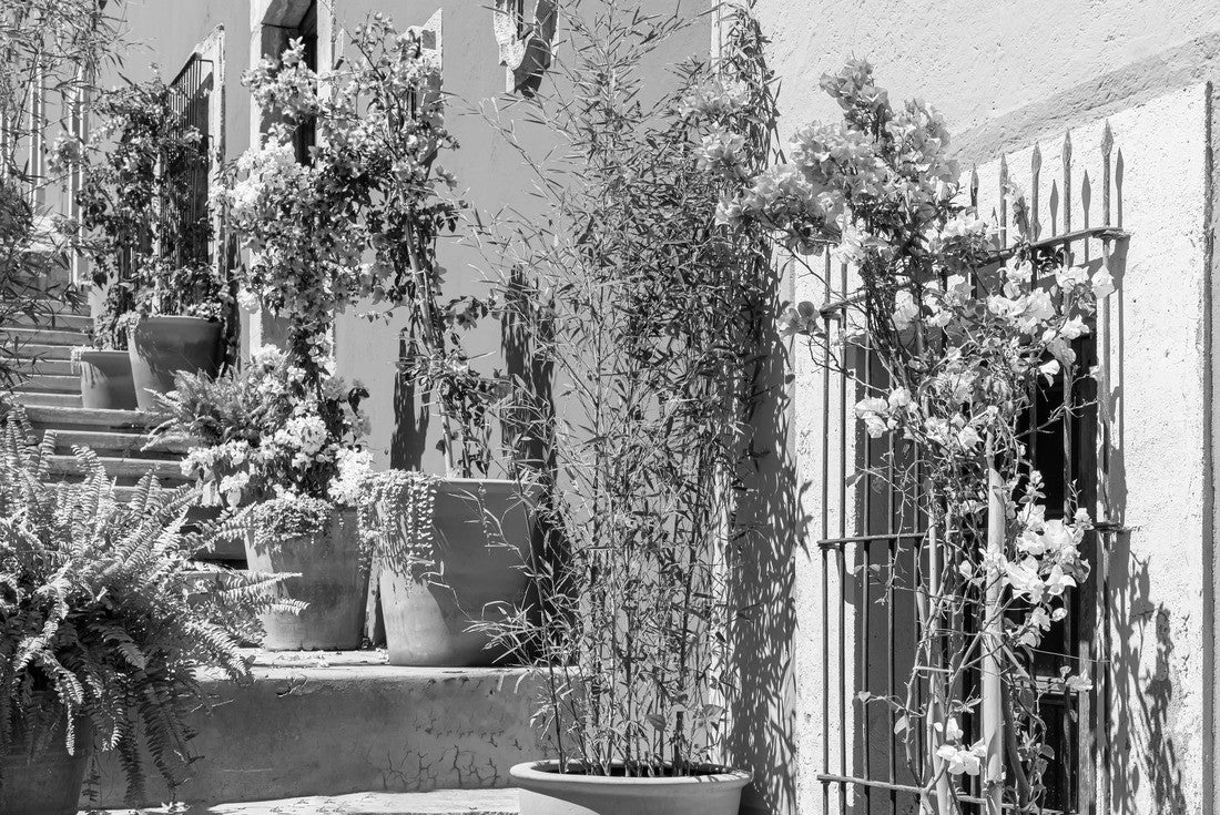 Durango, Victoria de Durango colonial and colorful historic city center near the central Plaza de Armas and the cathedral basilica 2000pc PuzzleBlack and White