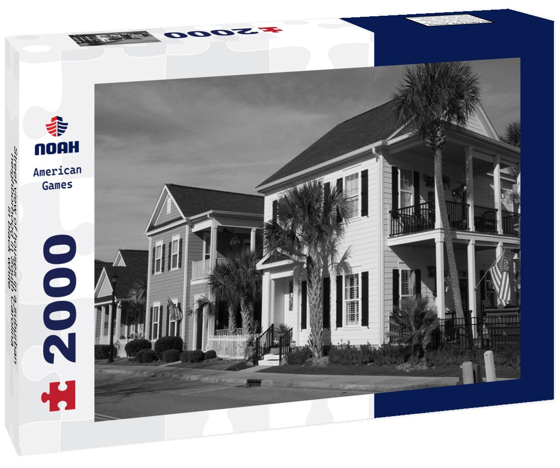 Street view of houses in a suburban neighborhood in South Carolina 2000pc PuzzleBlack and White
