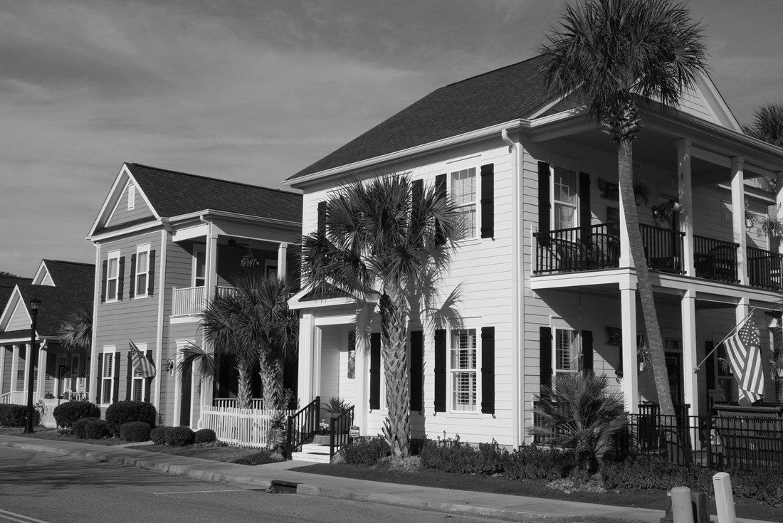 Street view of houses in a suburban neighborhood in South Carolina 2000pc PuzzleBlack and White
