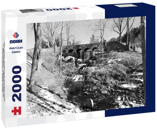 Noah Jigsaw Puzzle The winter landscape of Case Falls in Manchester, Hartford County, Connecticut in black white 2000 pieces