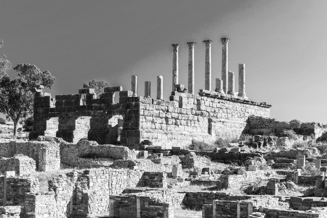 Noah Jigsaw Puzzle Thuburbo Majus large Roman site in northern Tunisia in black white 2000 pieces