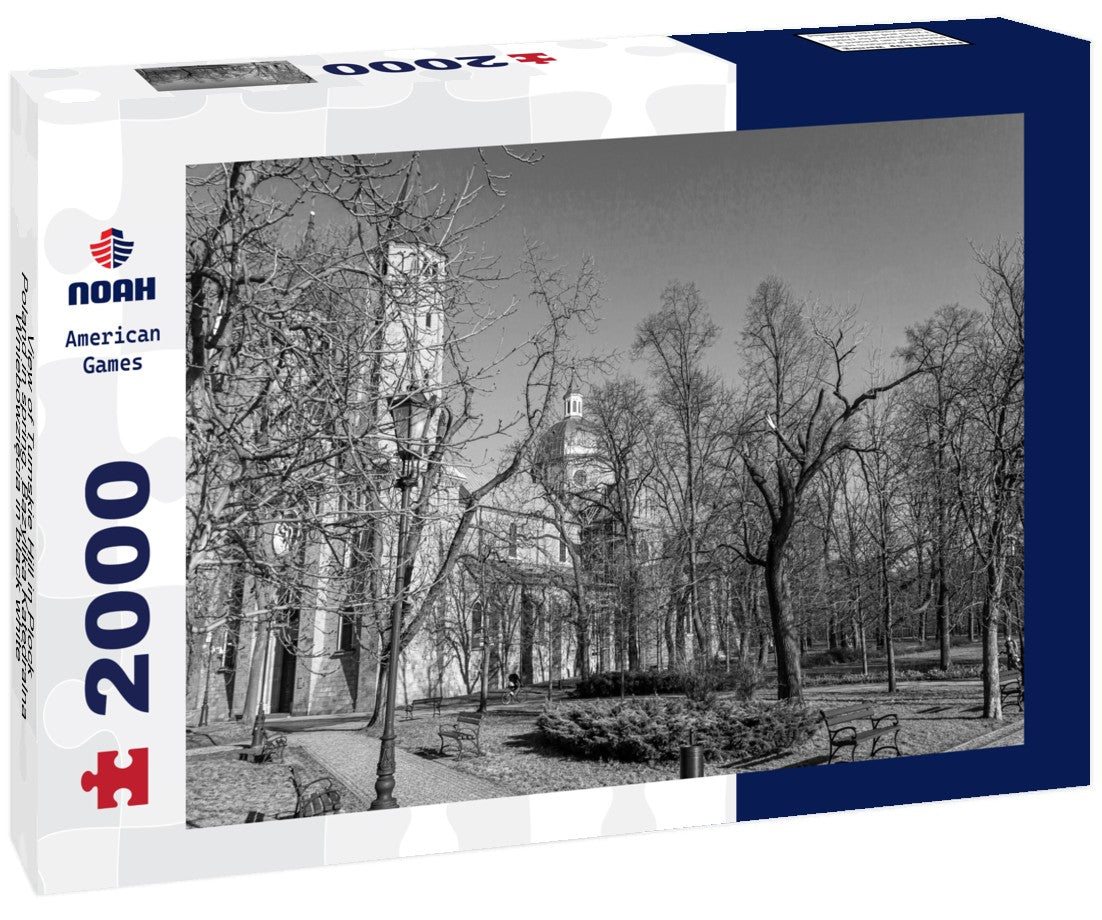 Tumskie Hill in Plock, Poland in spring. Bazylika Katedralna Wniebowziecia 2000pc PuzzleBlack and White
