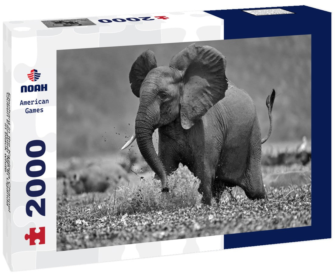 Noah Jigsaw Puzzle Elephant in the Kazinga Channel Queen Elizabeth NP in Uganda in black white 2000 pieces