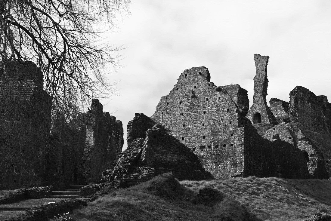 Okehampton Castle on a spring day 2000pc PuzzleBlack and White