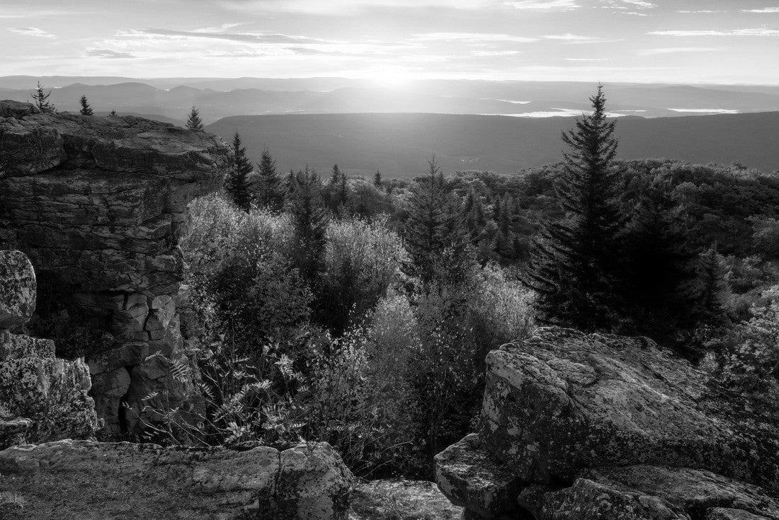 Sunrise, Dolly Sods Wilderness, West Virginia 2000pc PuzzleBlack and White