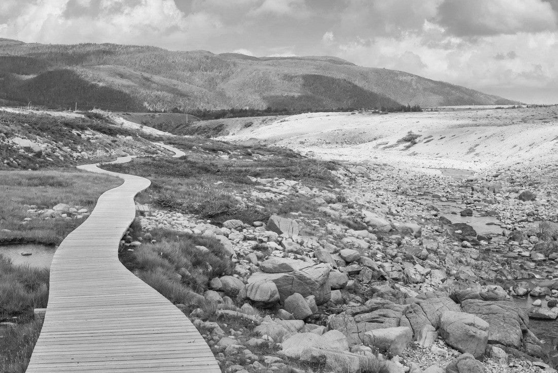 Noah Jigsaw Puzzle Boardwalk on Tablelands Trail, Gros Morne National Park, Newfoundland and Labrador, Canada in black white 2000 pieces